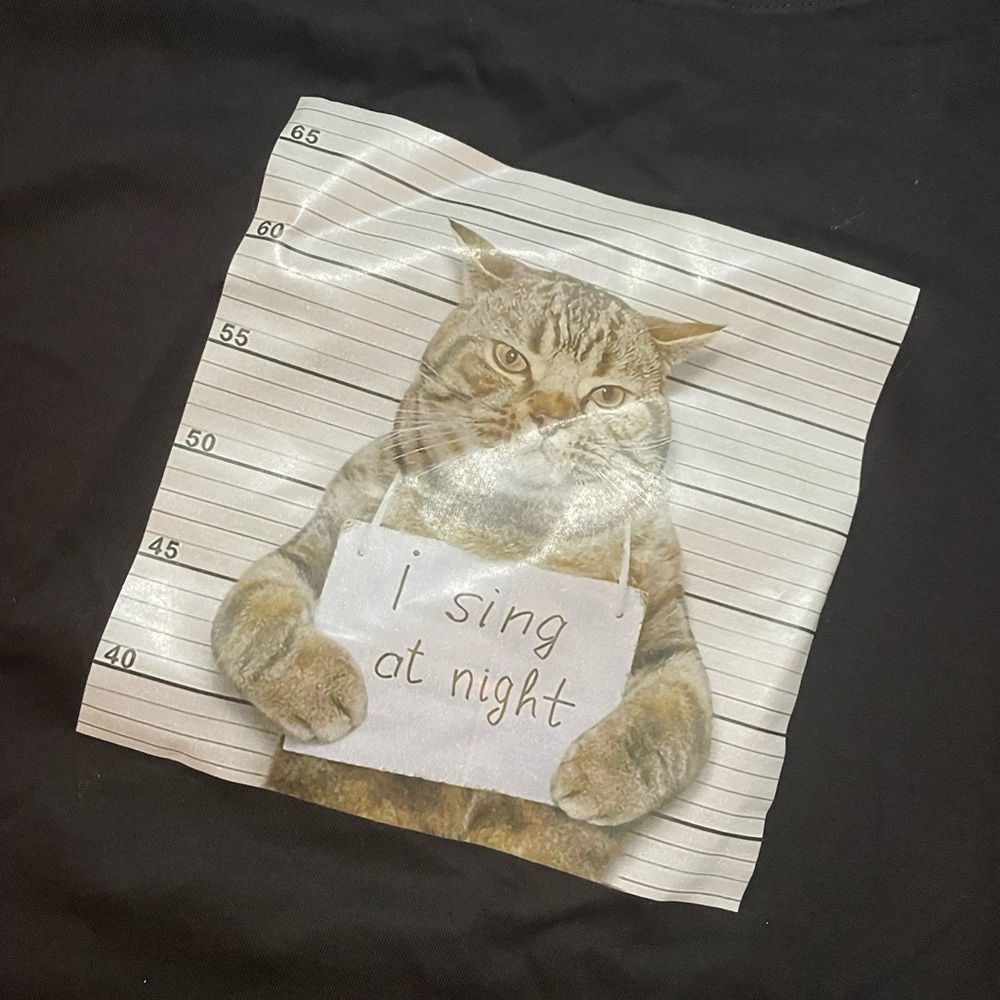 Cat jail photo shirt XL shein
